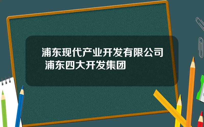浦东现代产业开发有限公司 浦东四大开发集团